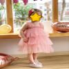 AGQT Baby Girls Tulle Tutu Dress Toddlers Tulle Layered Lace Dresses Sleeveless Princess Party Dress Summer Ruffles Sundress with Flower Headband Pink Size 12-18 Months view 4
