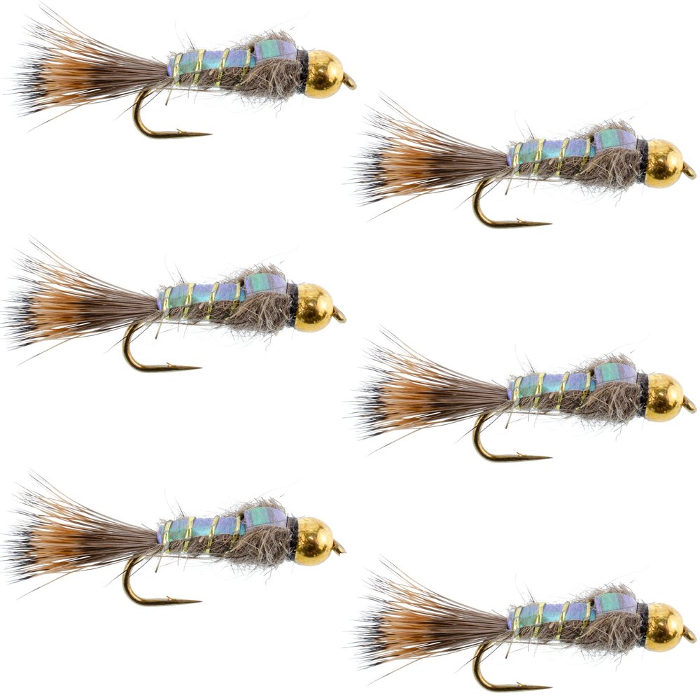 The Fly Fishing Place Tungsten Bead Head Nymph Fly Fishing Flies - Flashback Gold Ribbed Hare's Ear Trout Fly - Nymph Wet Fly - 6 Flies Hook Size 10