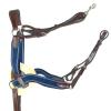 5-Way Blue Breastplate view 1