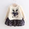 Baby Kids Toddler Clothes Rabbit Floral Cartoon Dress Girl Princess Party Bunny Girls Outfits Teens (Blue, 6 Years) view 2