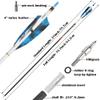 surwolf 31" Pure Carbon Arrows Archery Hunting Arrows 250 300 350 400 500 600 Spine with Natural Feather Fletched Targeting Arrows for Compound&Recurve&Long Bow 6/12 Pack (12, Blue, Spine 600) view 2