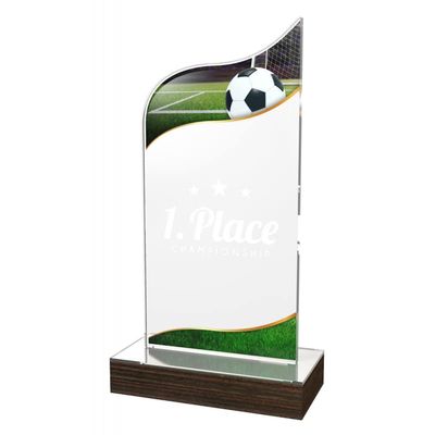 Trophy Monster Soccer Acrylic and Wood Award