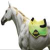 CHALLENGER Horse English Contoured Cotton Quilted Close Contact Trail Saddle Pad Ombre72170 view 4