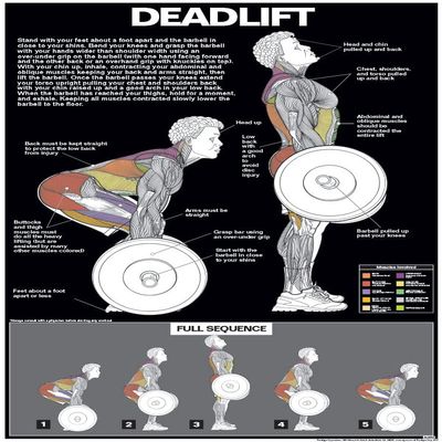 ALGRA Deadlift Poster Instructional Charts (18" x 24", Black/Dark Grey)