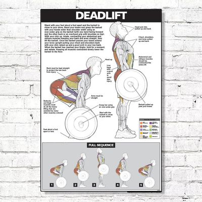 ALGRA Deadlift Poster Instructional Charts (18" x 24", White/Grey)