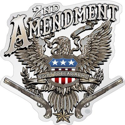 Erazor Bits 2nd Amendment Reflective Decals, (2nd Amendment Eagle Silver Foil) Sticker for Cars, Trucks, Laptops, and Water Bottles, (RN2192D), (12 inch)