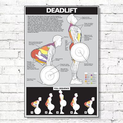 ALGRA Deadlift Poster Instructional Charts (18" x 24", Light Grey/Black)