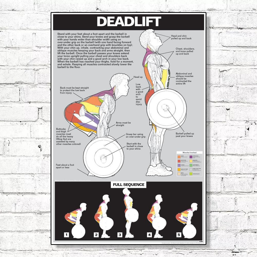 ALGRA Deadlift Poster Instructional Charts (18" x 24", Light Grey/Black)