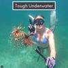 Aquatic Hunt - Premium Protection Pair of Dive Gloves for Hunting Lionfish, Lobster, Crab, Spearfishing, Working Underwater (Large) view 2