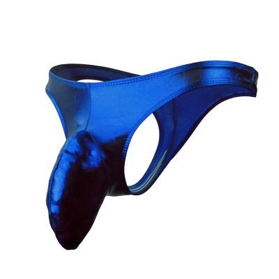 JEsilunmaMY Men Big Pouch Briefs Low Waist Long Elephant Nose Underwear Athletic Supporter Sexy Lingerie Jockstrap Underpants (Blue,One Size)