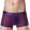 JEsilunmaMY Men's Mesh Boxer Briefs Mid Waist Ice Silk Breathable Underwear See Through Transparent Jacquard Boxers Shorts (Purple,XX-Large) view 2