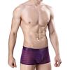 JEsilunmaMY Men's Mesh Boxer Briefs Mid Waist Ice Silk Breathable Underwear See Through Transparent Jacquard Boxers Shorts (Purple,XX-Large) view 3
