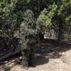 AUSCAMOTEK Camouflage Ghillie Suit for Outdoor Activities  Ideal for Users Under 4'8" Tall, Lightweight 5-in-1 Set for Hunting, Airsoft, and Halloween view 3