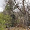 AUSCAMOTEK Camouflage Ghillie Suit for Outdoor Activities  Ideal for Users Under 4'8" Tall, Lightweight 5-in-1 Set for Hunting, Airsoft, and Halloween view 4
