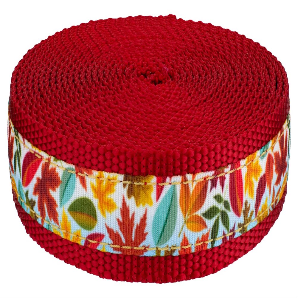 Country Brook Design - Brisk Autumn Ribbon on Red Nylon Webbing (1 Inch, 20 Yards)