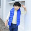Toddler Baby Girls Boys Winter Warm Vest Clothes Sleeveless Solid Jacket Kids Down Quilted Gilet Coat (Blue, 6-8 Years) view 4