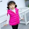 Toddler Baby Girls Boys Winter Warm Vest Clothes Sleeveless Solid Jacket Kids Down Quilted Gilet (Hot Pink, 12-15 Years) view 3