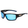 Light bird Bicycle cycling Polarized Sunglasses Goggles (blue) view 2
