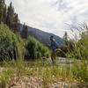 DRAGONtail Kaida zx320 Multi-Length Tenkara Pack Rod with Furled Line Kit view 3