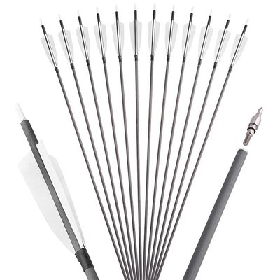 limaity 6/12Pcs Archery Carbon Arrows 35inch Hunting Arrows Spine 400 Target Practice Arrow for Recurve Bow Compound Bow Outdoor Shooting (White, 12)