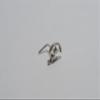 18, 20 Gauge Nose Stud,Cat on the moon Nose Stud,Animal nose screw, Jewelry Nose Stud, Body Piercing Jewelry, Nose Piercing, Body Jewelry (20g L Bend) view 4