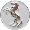Chrome Stallion Golf Ball Markers - Premium Metal Golf Ball Marker for Putting Green - Stylish Golf Marker Fits for Hat Clips, Divot Fixer Alignment Tool, Green Reading Golf Accessories for Golfers view 2