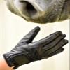 Anni Lyn Sportswear Kid's Endura Pro Show Glove (X-Small) view 4