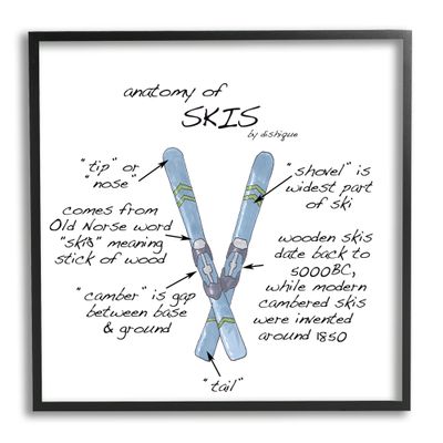 Stupell Industries Anatomy of Skis Winter Sports Diagram Facts Chart, Design by Dishique, Black Framed, 17 x 30