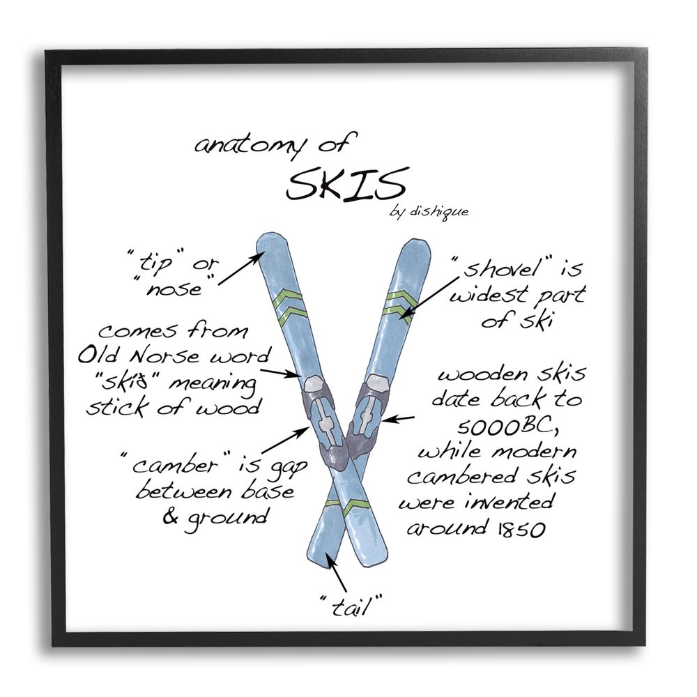 Stupell Industries Anatomy of Skis Winter Sports Diagram Facts Chart, Design by Dishique, Black Framed, 17 x 30