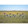 Avery GHG Pro-Grade Blue Goose Sock Decoys, 12-Pack | Durable Realistic Quick-Setup Hunting Windsock Decoy Set with Stable Ground Stakes, Resistant No-Glare Matte Bodies, 24" - Without Heads (77507) view 2