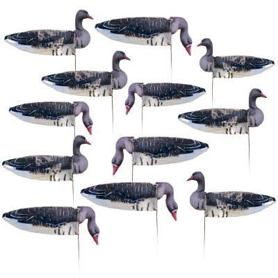 Avery GHG Pro-Grade Specklebelly Goose Sock Decoys with Painted Heads, 12-Pack | Active & Feeder Styles, Realistic Hunting Windsock Decoy Set with 24" Foldable Ground Stakes, No-Glare Bodies (77505)