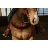 Sale Wyatt EARP Tripping Collar view 2