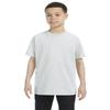 Apparel Globe Boys Heavy Cotton Seamless Neck T-Shirt, Ash Gray, Large view 1