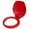 Portable Toilet Seat for 5 Gallon Bucket Emergency Outdoor Camping Snap on Luggable Loo Toilet Cover for Adults and Kids Red view 1
