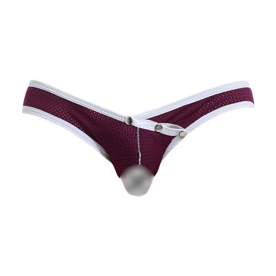 JEsilunmaMY Mens See Through Underwear Low Rise Mesh Breathable Bulge Pouch Panties High Stretch Bikini Briefs Underpants (Purple,Small)