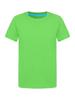 Aislor Kids Boys Girls Crewneck Short Sleeve T-Shirt School P.E Sports Fitness Running Top Undershirt Activewear Green 3-4 Years view 1