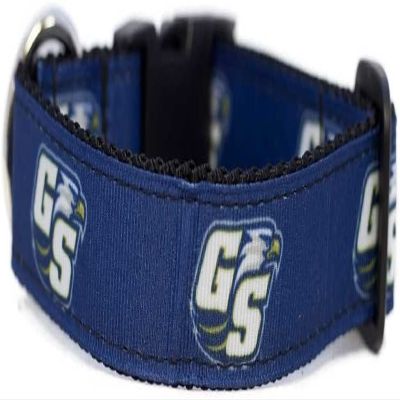 College Dog Collar (Small, Georgia Southern)