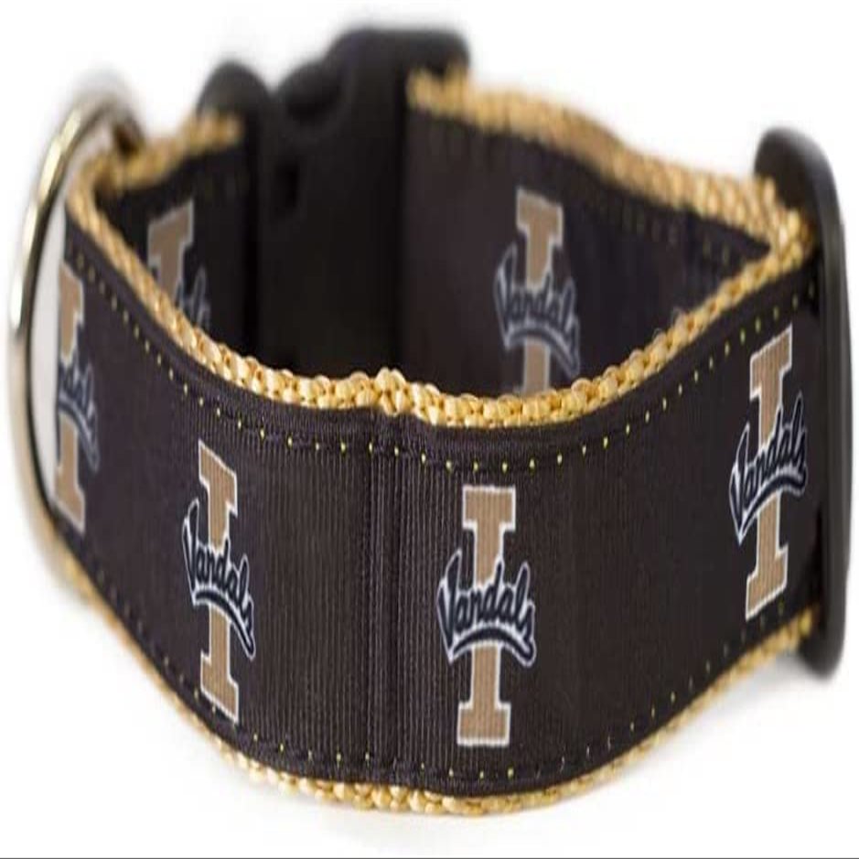 College Dog Collar (Medium, Idaho)