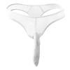 JEsilunmaMY Mens Elephant Nose Underwear See Through Low Rise Long Pouch Bikini Briefs Mesh Sheer Breathable Thong Panties (White,Large) view 1