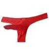 Elephant Nose Bikini Briefs for Men Low Rise Mesh Sheer Long Pouch Underwear See Through Breathable Thong Panties (Red,Medium) view 2