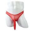 Elephant Nose Bikini Briefs for Men Low Rise Mesh Sheer Long Pouch Underwear See Through Breathable Thong Panties (Red,Medium) view 3