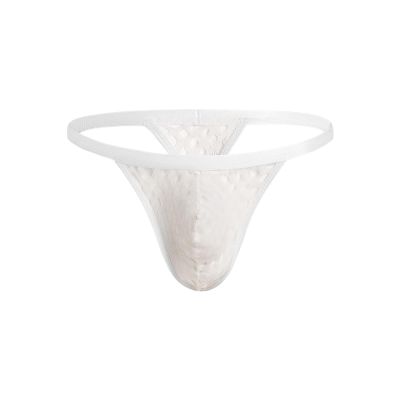 JEsilunmaMY See Through Underwear for Men Low Rise Mesh Sheer Bulge Pouch Panties Transparent Breathable G-String Underpants (White,X-Large)
