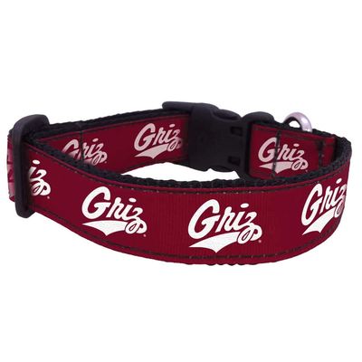 College Dog Collar (Medium, Montana)