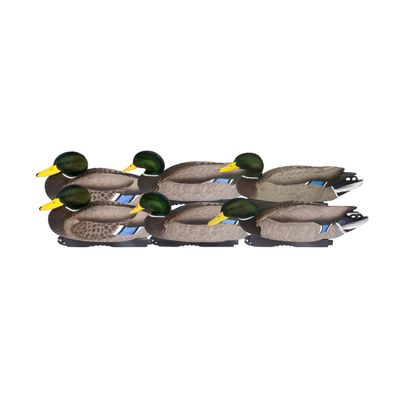 Banded Avery GHG Pro Grade XD Series Mallards w/Flocked Heads - Drake 6 Pack