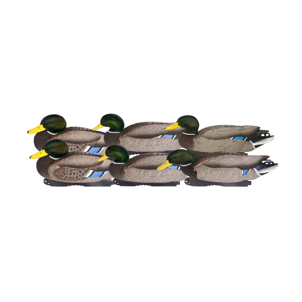 Banded Avery GHG Pro Grade XD Series Mallards w/Flocked Heads - Drake 6 Pack