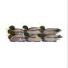 Banded Avery GHG Pro Grade XD Series Mallards w/Flocked Heads - Drake 6 Pack view 1