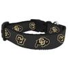College Dog Collar (Medium, Colorado) view 1