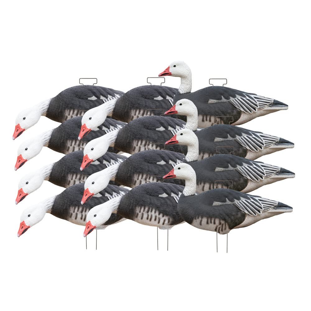 Banded Avery Outdoors Greenhead Gear GHG PRO Grade Blue Goose Silhouette DECOYS