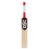 DSC Lava Cricket Bat for Mens and Boys | Material: Kashmir Willow | Lightweight | Free Cover | Ready to Play | for Intermediate Player | Ideal for Leather Ball, 5, Beige view 1
