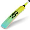 DSC Wildfire Warrior Cricket Bat for Mens and Boys (Beige, Size -Mens) | Material: Kashmir Willow | Lightweight | Free Cover | Ready to Play | for Intermediate Player | Ideal for Leather Ball view 3